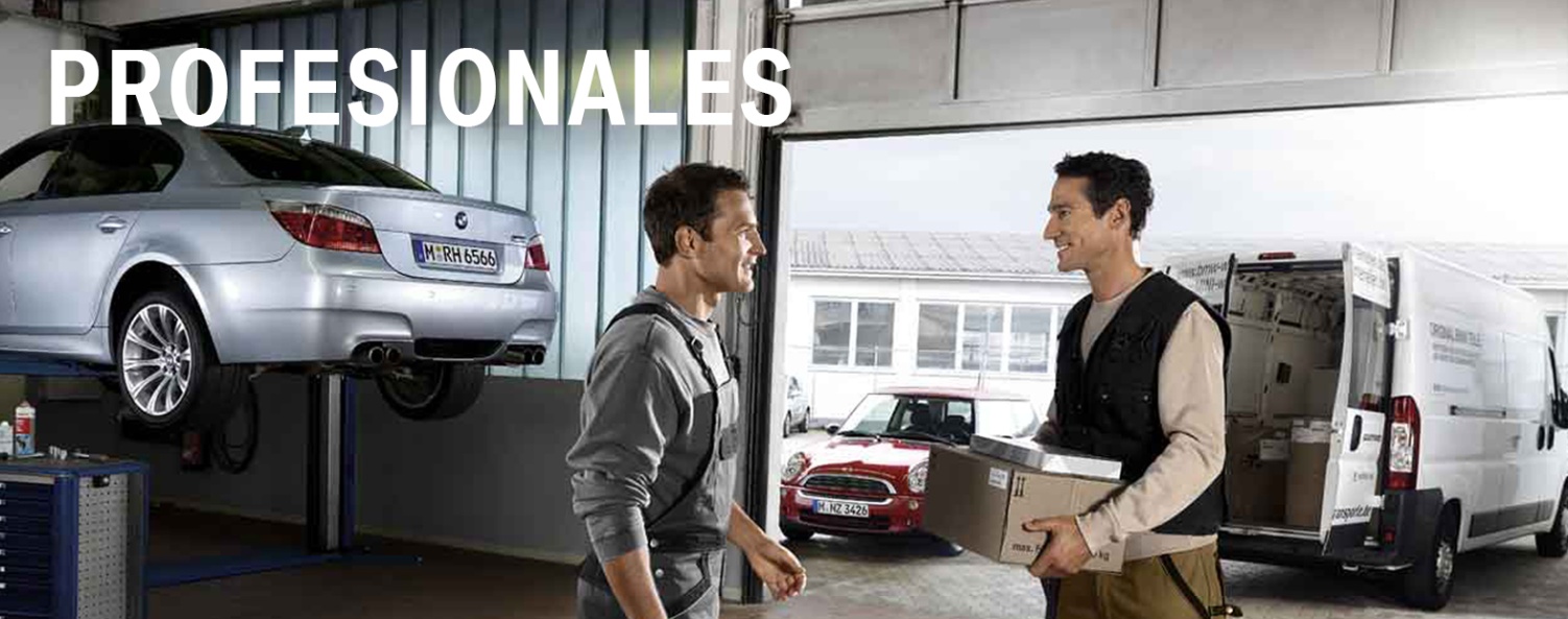 Profesionales